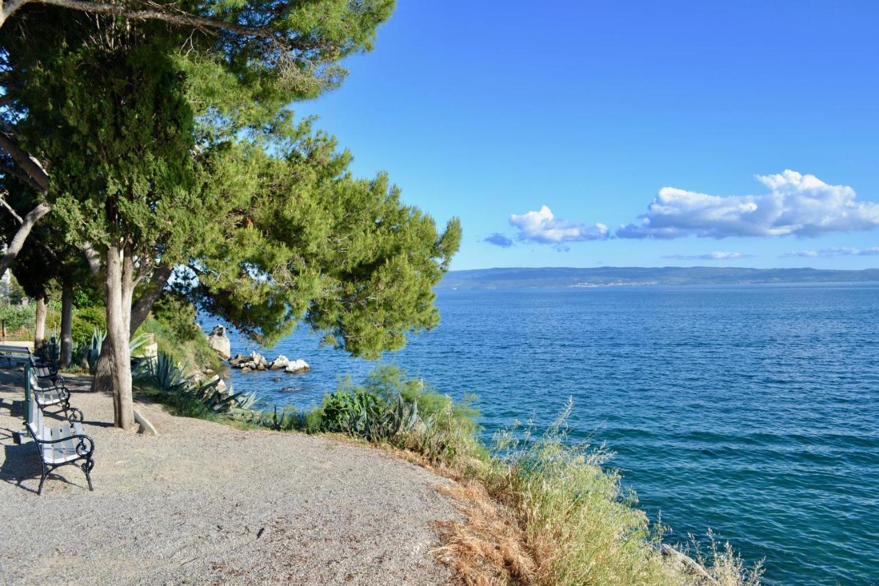 Apartament Olive Tree Split