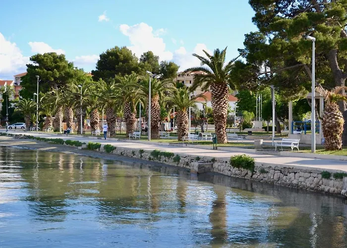 Olive Tree Apartments