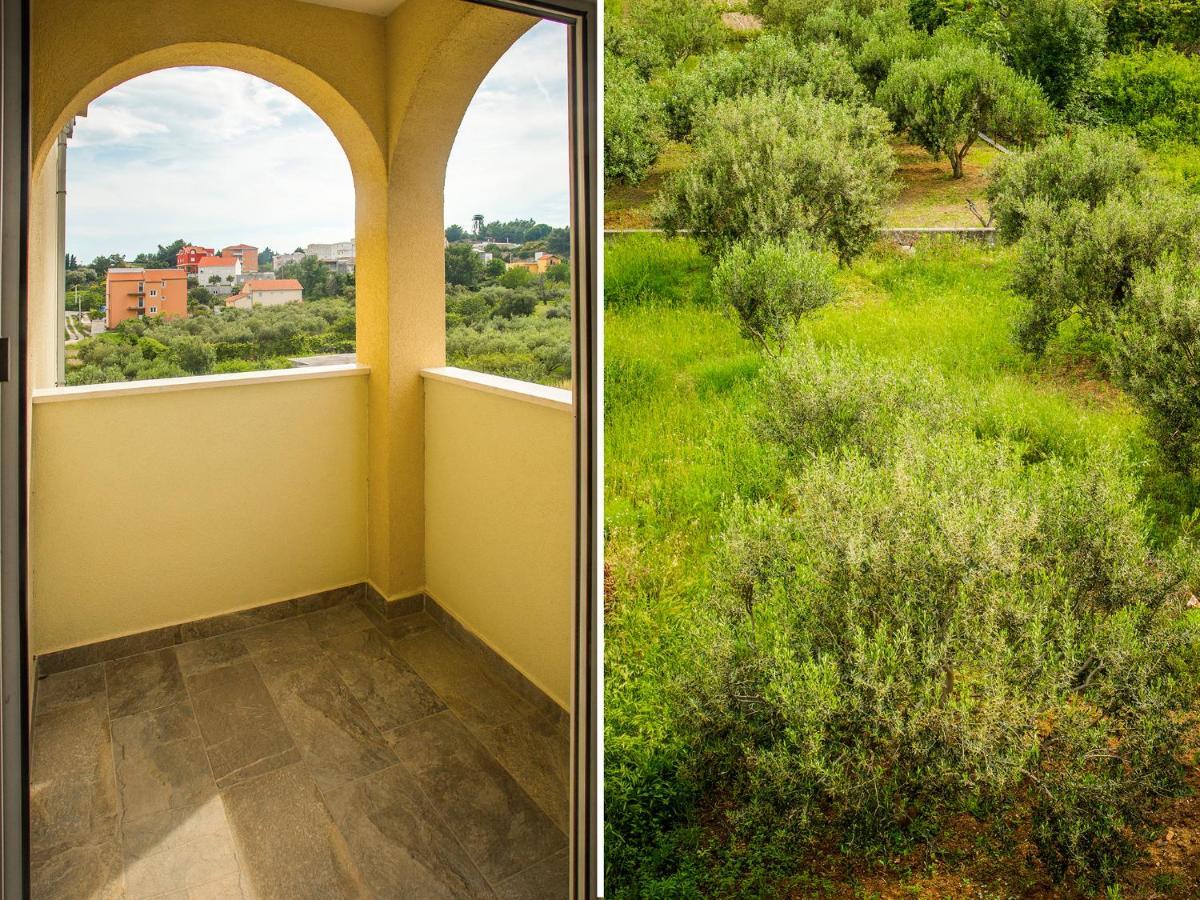 Olive Tree Apartment